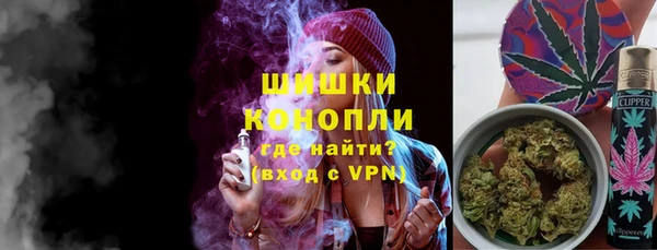 ГАЛЛЮЦИНОГЕННЫЕ ГРИБЫ Аркадак