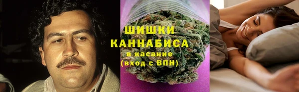 ГАЛЛЮЦИНОГЕННЫЕ ГРИБЫ Аркадак