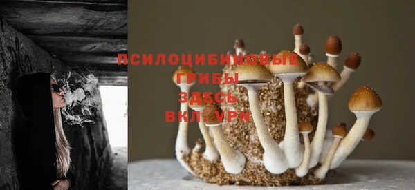кокаин VHQ Арсеньев