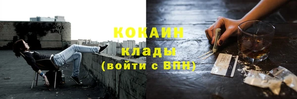 ГАЛЛЮЦИНОГЕННЫЕ ГРИБЫ Аркадак